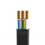 Кабель ППГ-Пнг(А)-HF 3х1.5 ОК (N PE) 0.66кВ (уп.100м) Кабэкс ТХМ00382654 Кабель ППГ-Пнг(А)-HF 3х1.5 ОК (N PE) 0.66кВ (уп.100м) Кабэкс ТХМ00382654