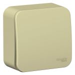 Выключатель 1-кл. ОП Blanca 10А IP20 (сх. 1) 250В с изолир. пластиной беж. SE BLNVA101017 Выключатель 1-кл. ОП Blanca 10А IP20 (сх. 1) 250В с изолир. пластиной беж. SE BLNVA101017